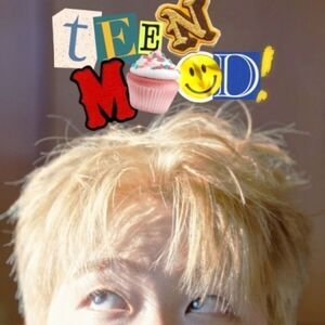 Timid Mood - Teen Mood  CD